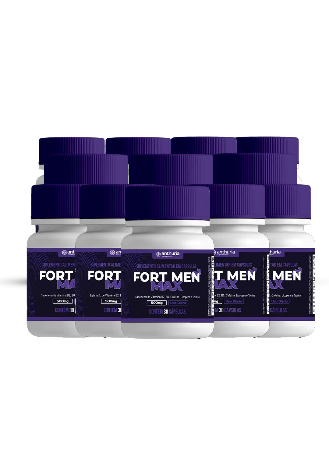 12 Potes Fortmenmax
